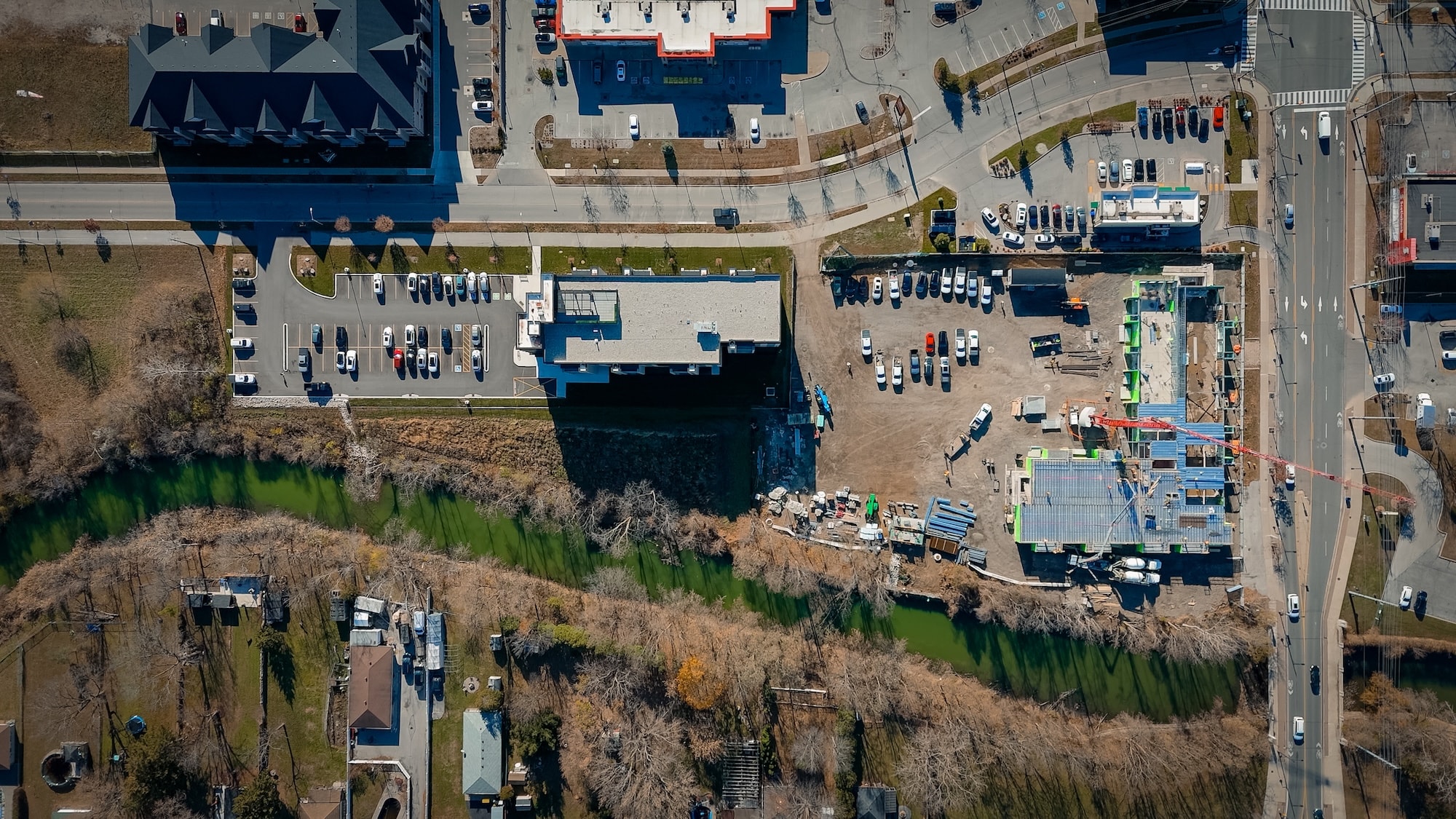 The Griffon - Image 3